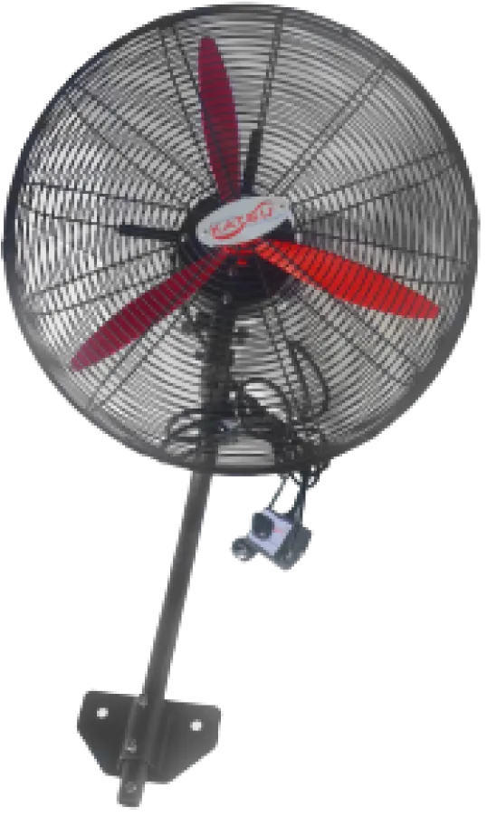 Wall & Stand Fan